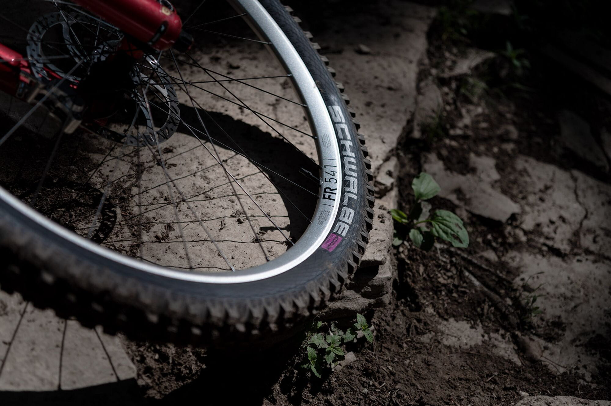 DT Swiss FR 541 SBWT disc-specific 32 hole Presta-drilled silver - 29"