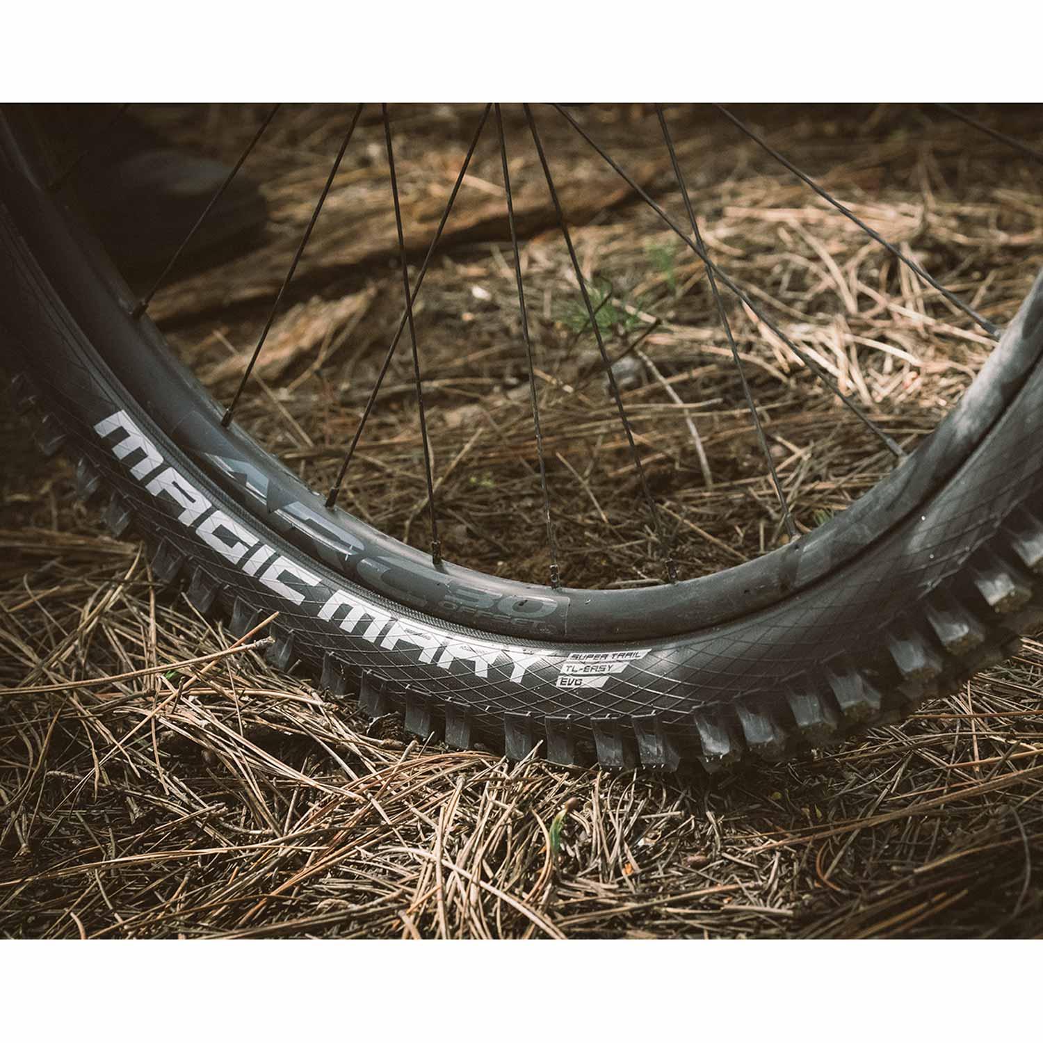 Schwalbe Magic Mary Radial TLE Folding