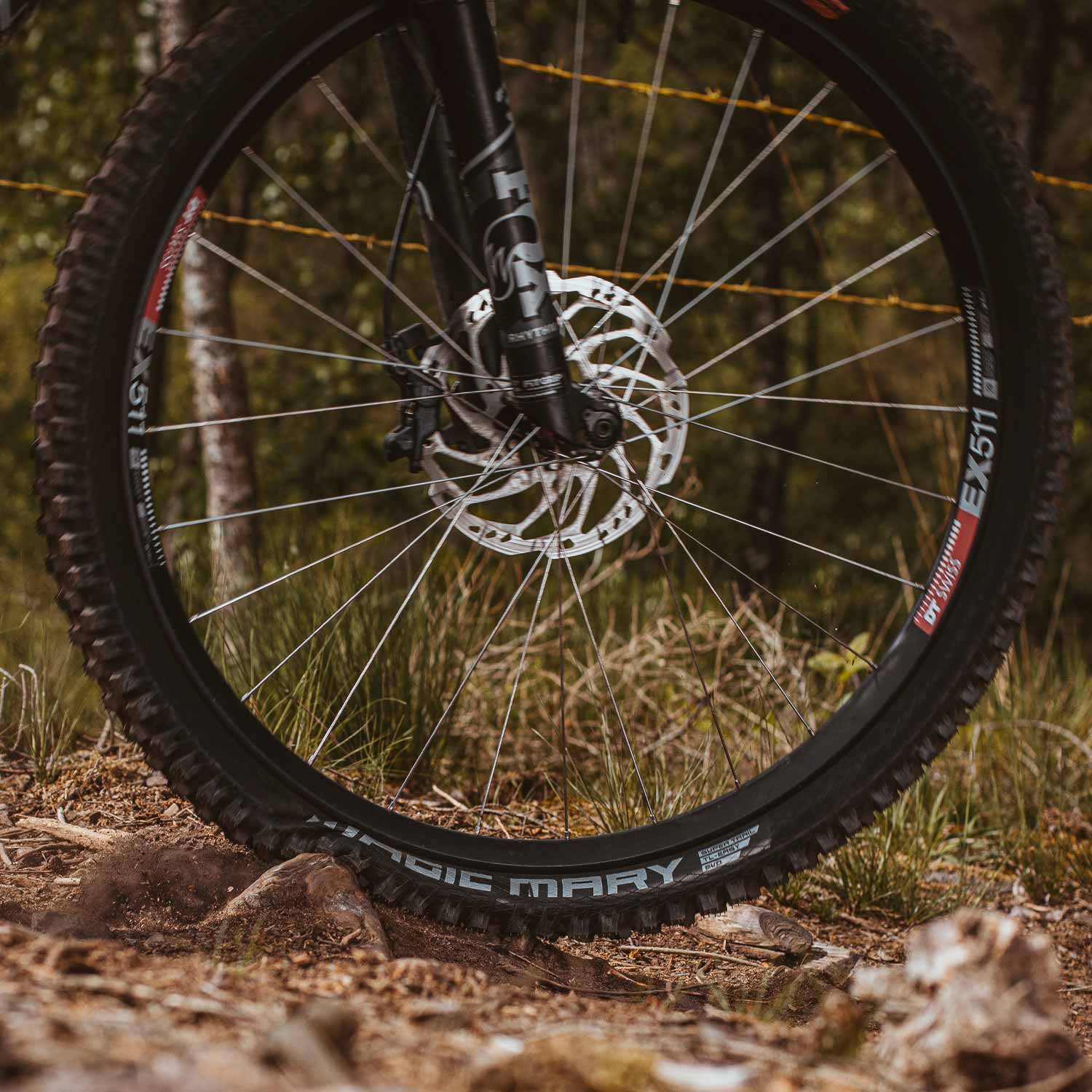Schwalbe Magic Mary Radial TLE Folding