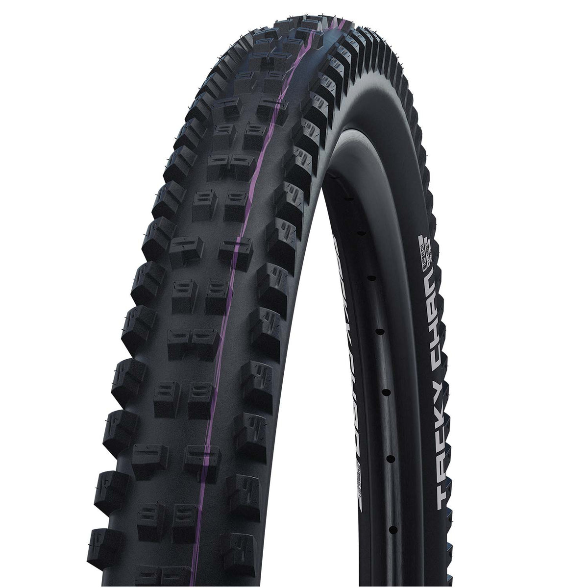 Schwalbe Tacky Chan Evo Super Ground Folding TLE