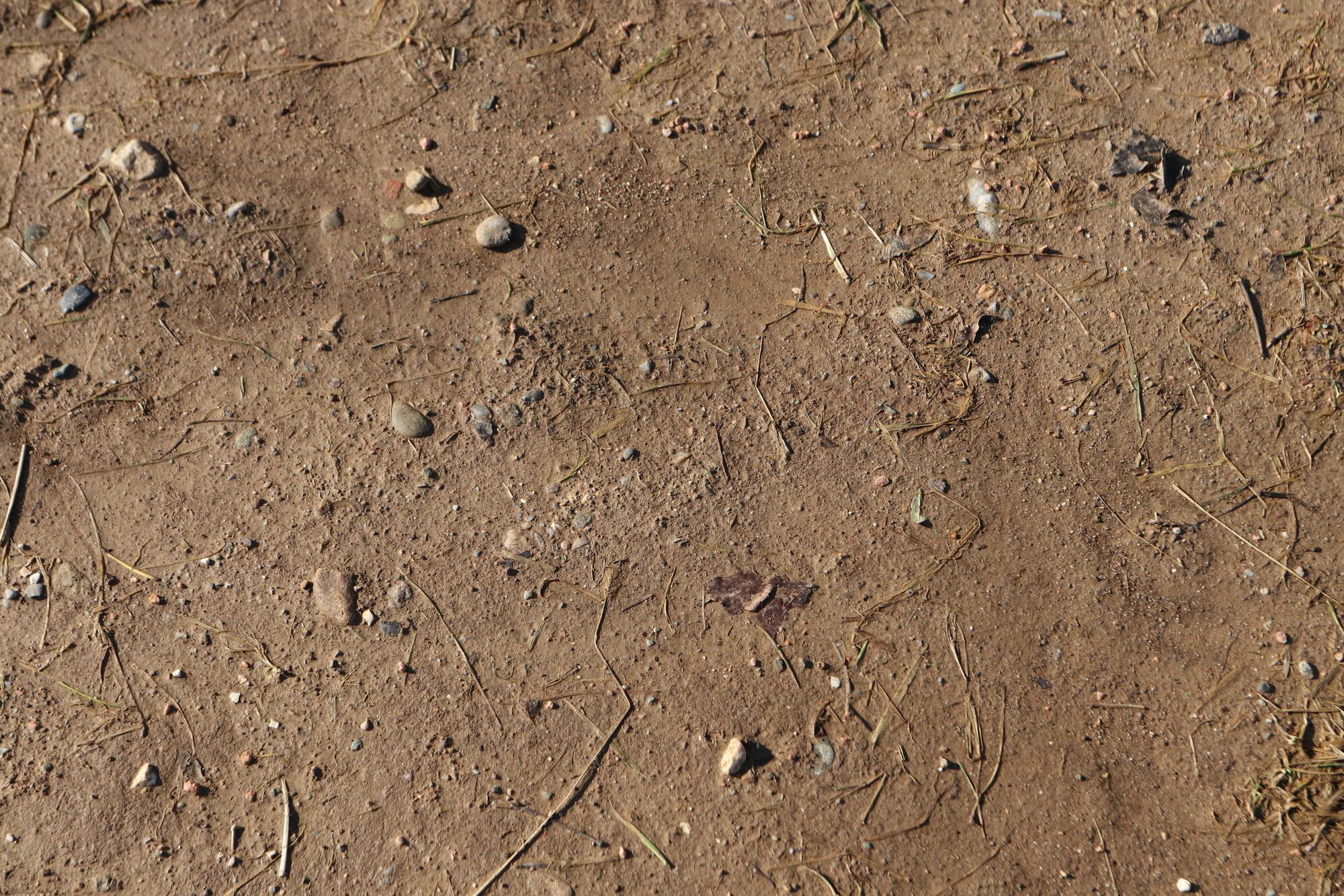 Vittoria Terreno T30 Fine Loose Gravel Endurance G2.0 Tubeless Ready