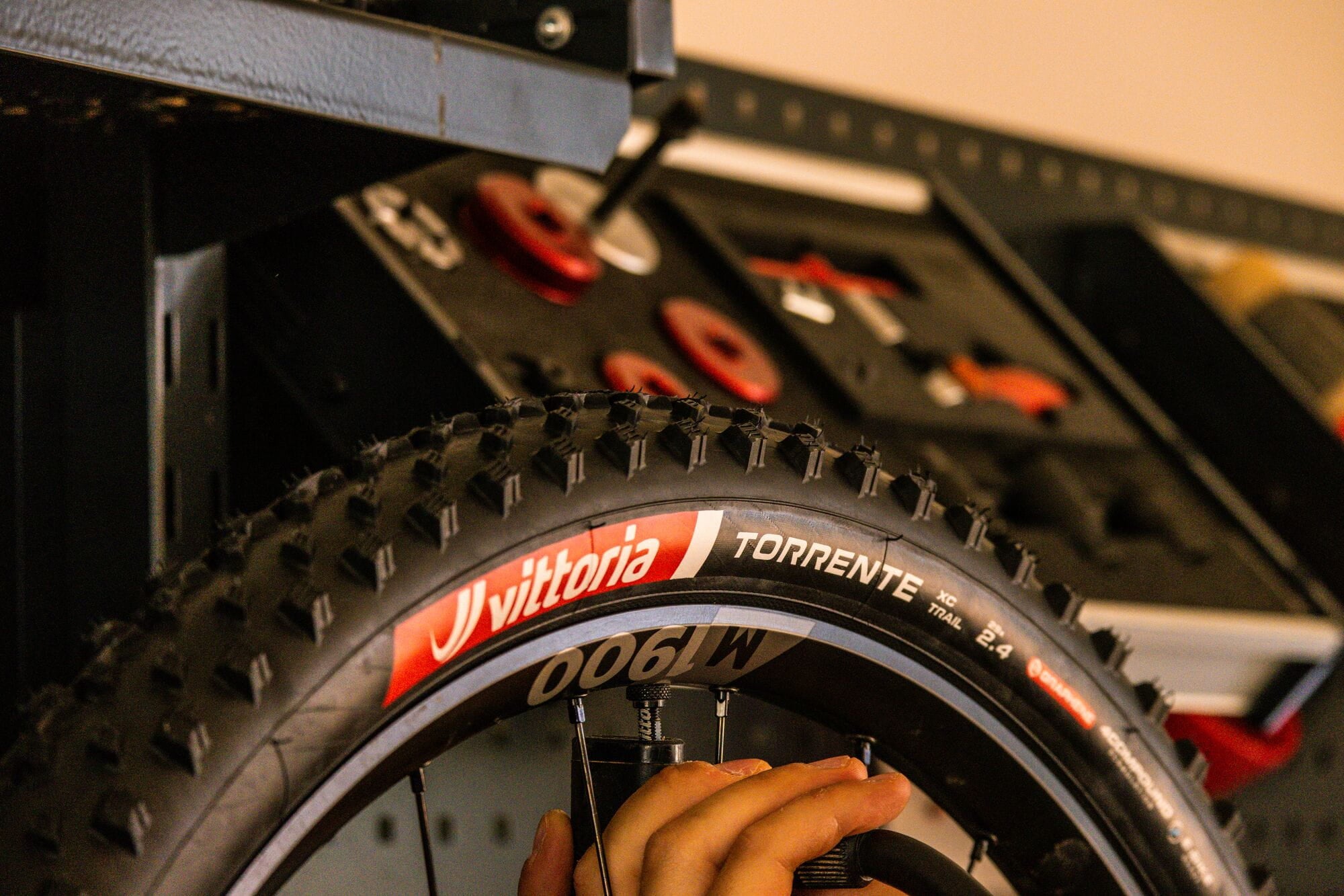 Vittoria Torrente XC Trail 29x2.40 tubeless-ready mountain bike tire with knobby tread for muddy trail riding.