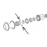 Dt Swiss Spare Dt Pawl For Onyx