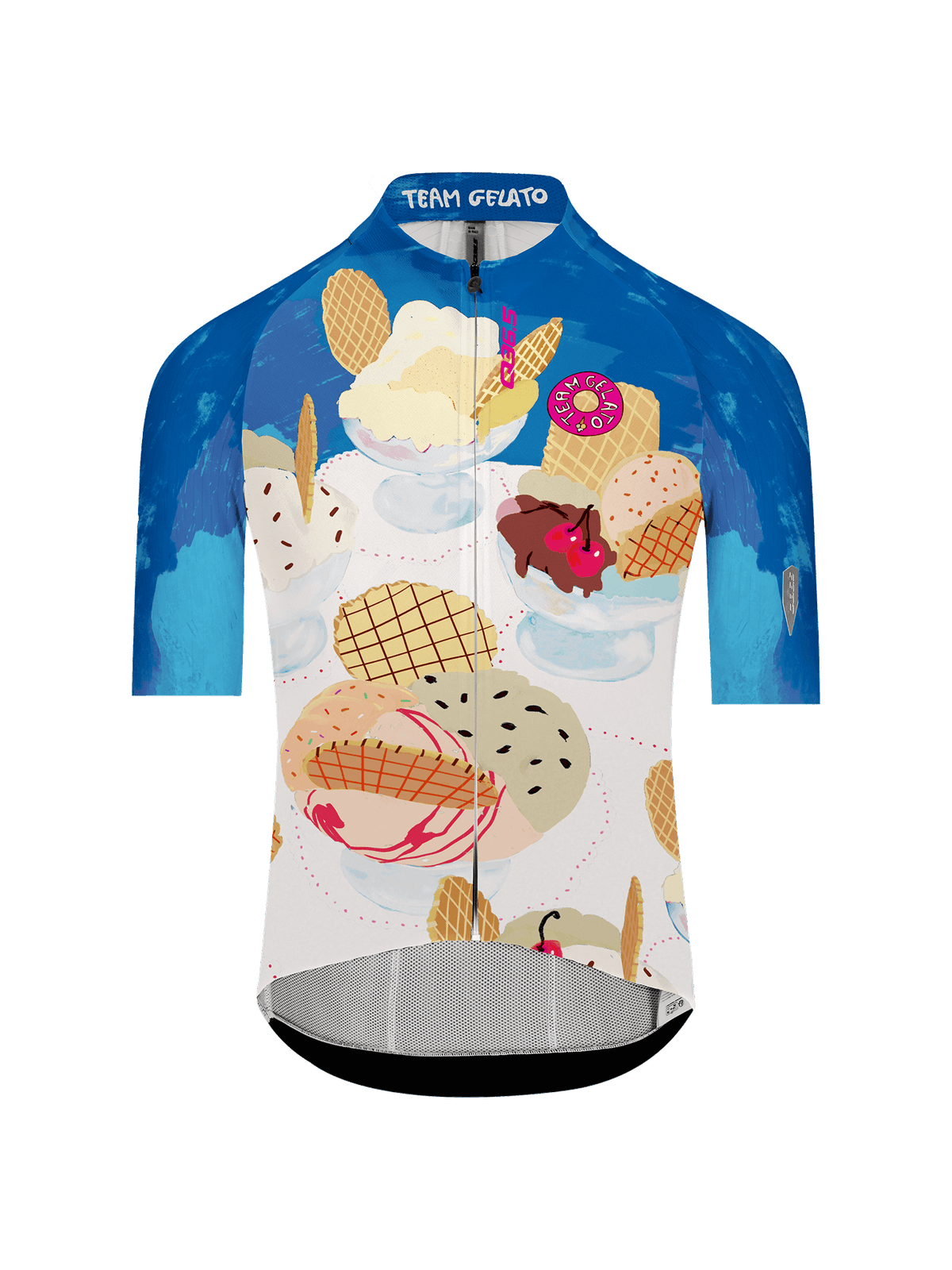Q36.5 Gregarius Pro Team Gelato Jersey