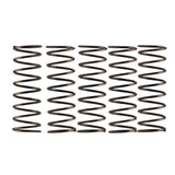 Campagnolo Pre 2004 L/End F/Hub P/Spring Hub Spares