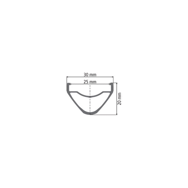 DT Swiss XM 421 SBWT disc-specific Presta-drilled black