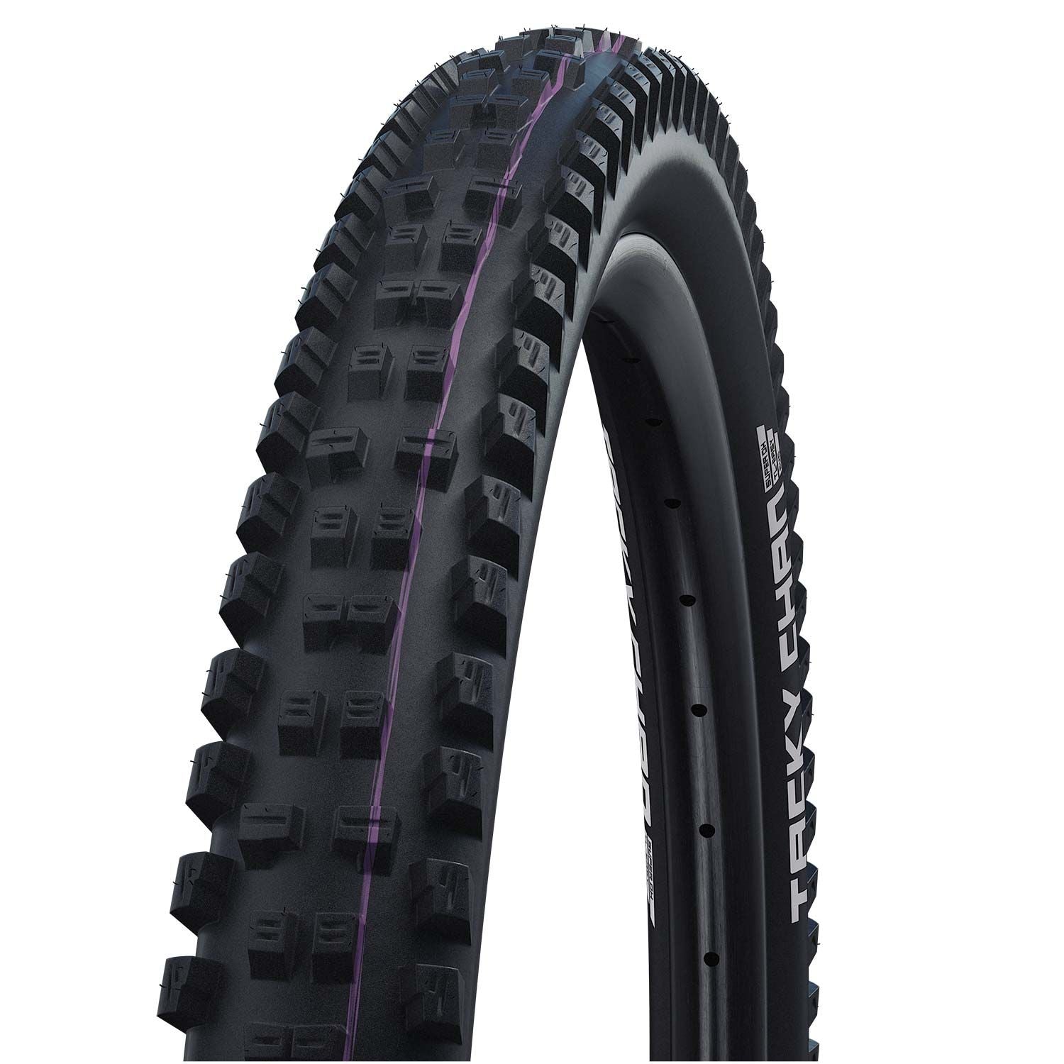 Schwalbe Tacky Chan Evo Super Ground Folding TLE