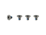 Trek 2021-2024 TQ & Fazua Motor Armor Hardware Black M4 x 6mm